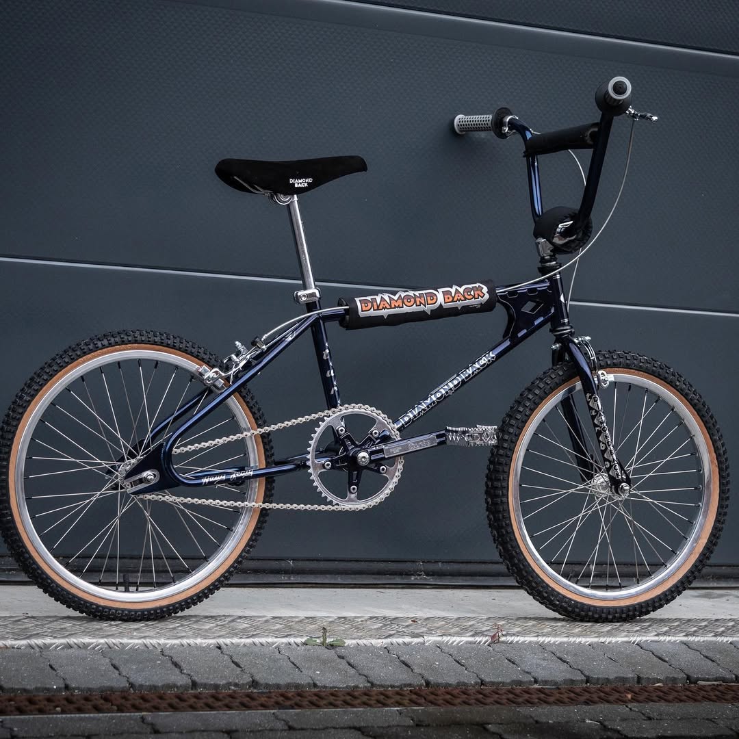 1983  Diamond Back Harry Leary Turbo